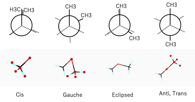 ニューマンの投影図