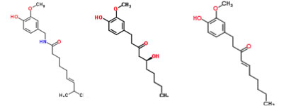 PolyPhOH