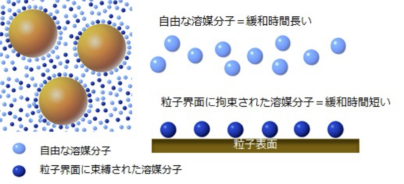 溶媒分子