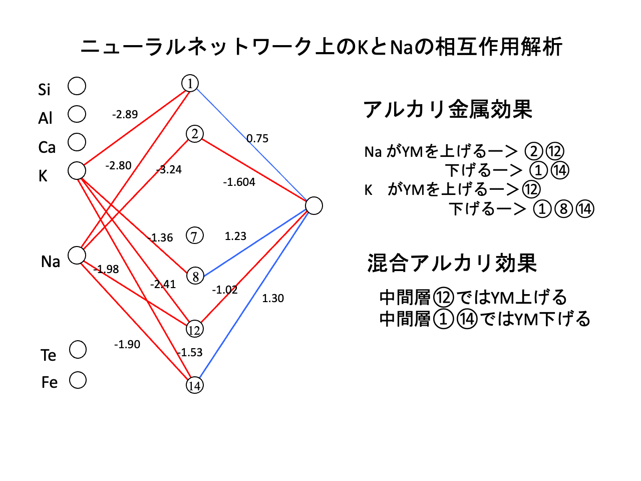 スライド 23: ニューラルネットワーク上のKとNaの相互作用解析