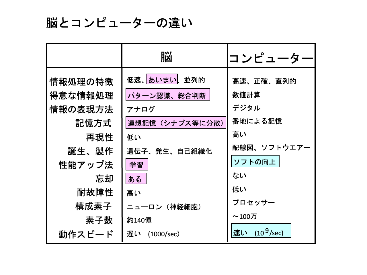 スライド 3: 脳